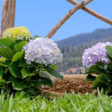 Dom wakacyjny Recanto Florencas Arco da Calheta (Madeira)