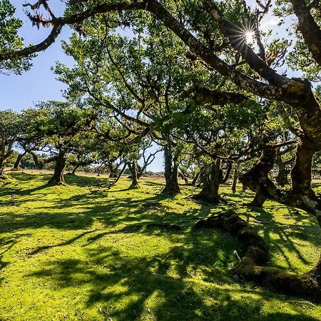 Recanto Florencas Tatil Evi