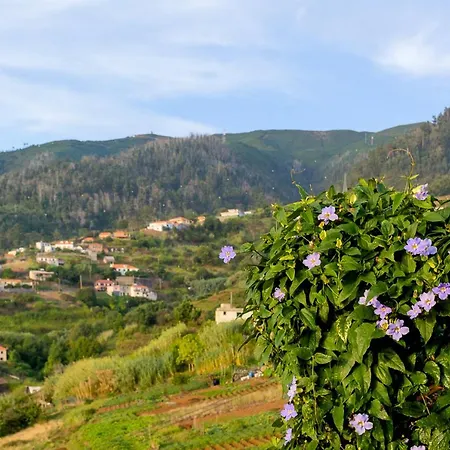 Recanto Florencas * Arco da Calheta (Madeira)