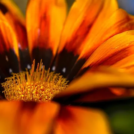 Feriehus Recanto Florencas