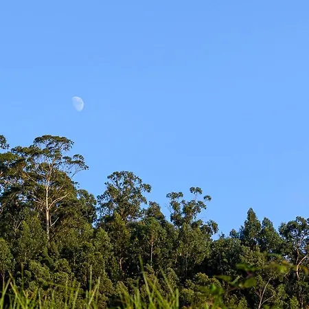 Recanto Florencas Arco da Calheta (Madeira)